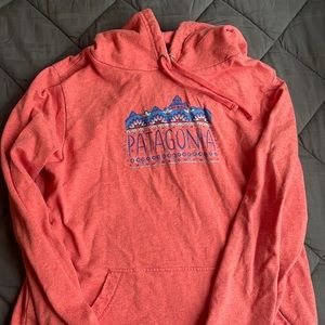 Patagonia sweatshirt